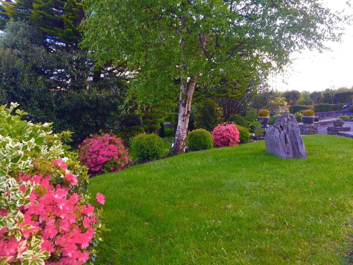 Laburnum Kenmare