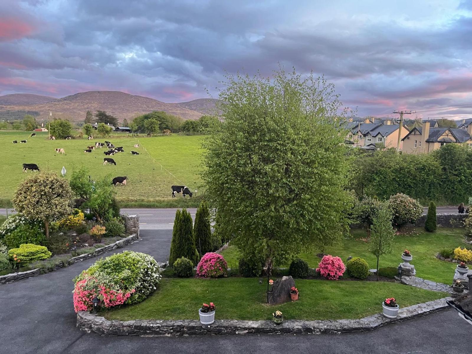 Bed & Breakfast Laburnum