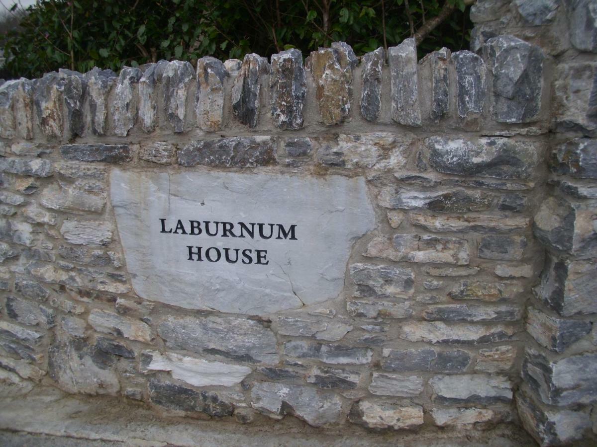 Laburnum * Kenmare